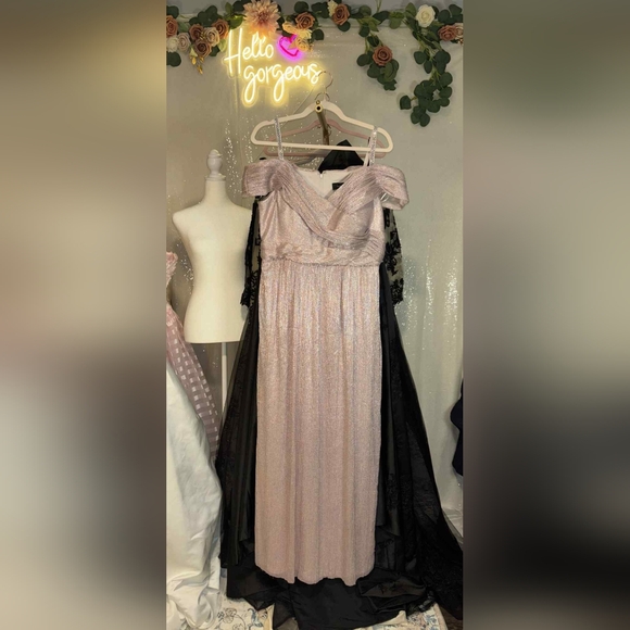 NWT Size 16 R&M Richards Blush Maxi Metallic Glittery Evening Gown - Picture 10 of 11